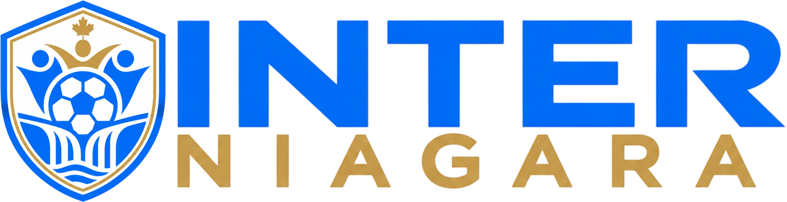 Partner logo 1